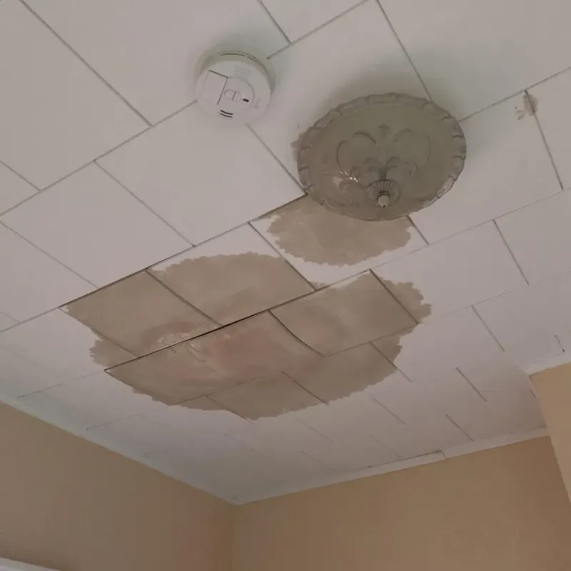 Ceiling Water Damage Repair in Thorntown, IN