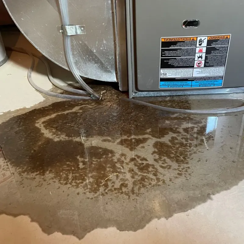 Pipe Burst and Leak Restoration in Thorntown, IN