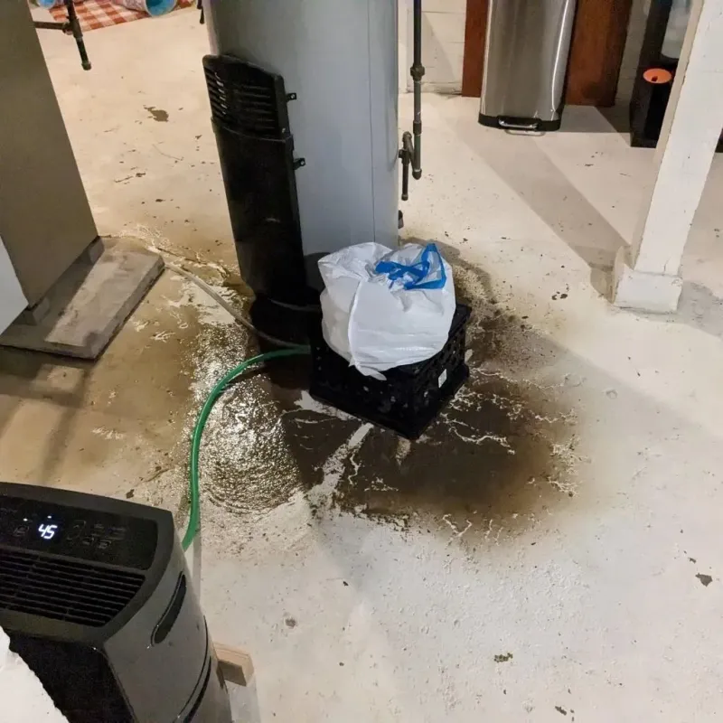 Sewage Backup Cleanup Service in Thorntown, IN